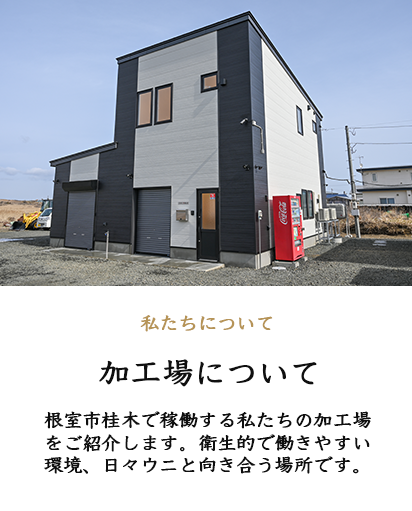バナー2